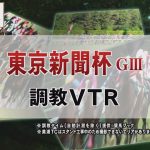 【調教動画】2022年 東京新聞杯｜JRA公式