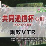 【調教動画】2022年 共同通信杯｜JRA公式