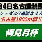 【競馬予想】梅見月杯 2022年2月4日 名古屋競馬場