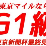【東京新聞杯】東京マイルならG1級の一頭から大勝負可能！ファインルージュは嫌う
