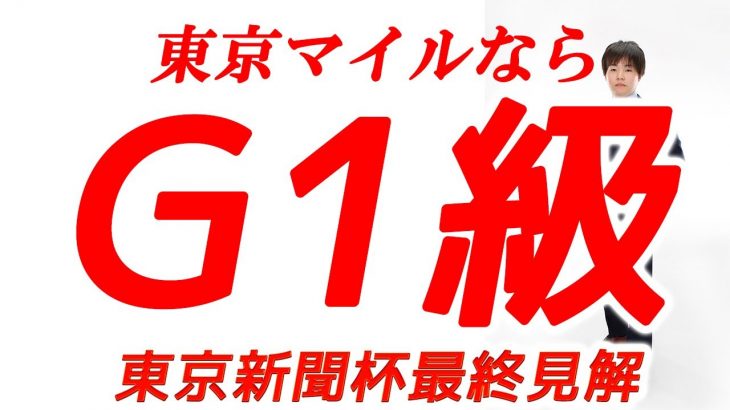 【東京新聞杯】東京マイルならG1級の一頭から大勝負可能！ファインルージュは嫌う