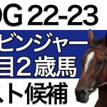 【POG/22-23】ハービンジャー産駒の注目２歳馬をリストアップ！【次シーズン向け／配合・血統傾向】