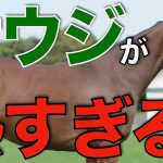 サウジカップデーに日本馬が続々参戦！今後熱くなりそうな重要レース。