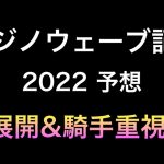 【競馬予想】 南関東重賞 フジノウェーブ記念 2022 予想
