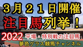 【注目馬列挙・平場予想】2022年3月21日JRA平場特別戦！引き続き攻め！名古屋城ステークスはこのタフ先行馬で！