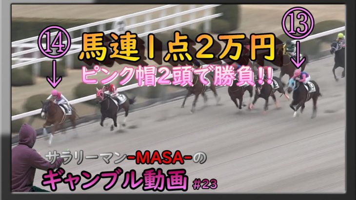 ２０分悩んだ結果・・・ ピンク帽に２万円を託すことにした。【 ｻﾗﾘｰﾏﾝのギャンブル動画 #23 】【  MASA 競馬 #89  】
