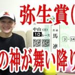 【競馬実践】競馬3レース勝負!! / 弥生賞ディープインパクト記念 / 2022.3.6【わさお】