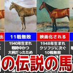 【競馬の殿堂】伝説の顕彰馬たち！昭和の歴史的名馬10頭を解説！