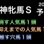 【競馬予想】 阪神牝馬ステークス 2022 予想
