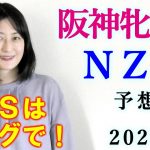 【競馬】 阪神牝馬S ニュージーランドトロフィー NZT 2022 予想(日曜メイン 春雷Sの予想はブログで！)